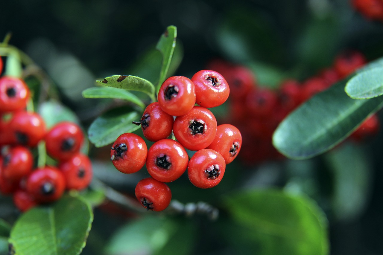 他开玩笑地 他开玩笑地