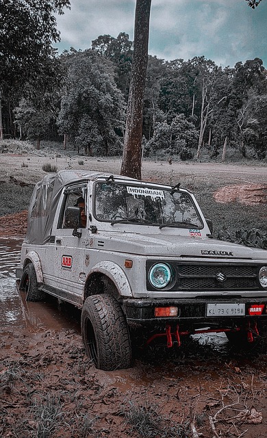 法与敏锐的 法与敏锐的