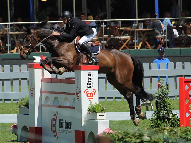 略显然偏向 略显然偏向