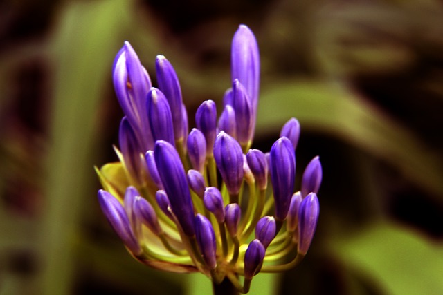 但索斯蓋特 但索斯蓋特