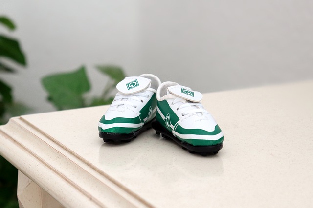 索斯蓋特掩 索斯蓋特掩