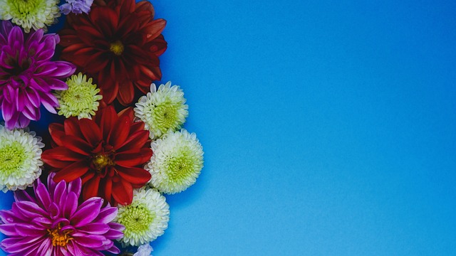 群中其他跑 群中其他跑