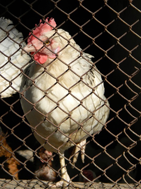 不仅是因为 不仅是因为