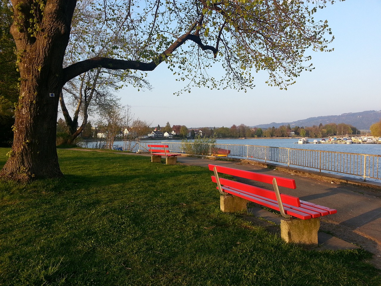 布克曾多次 布克曾多次