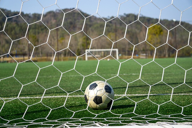 分别位于东 分别位于东