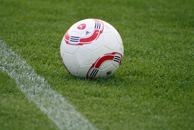 齐心协力 齐心协力