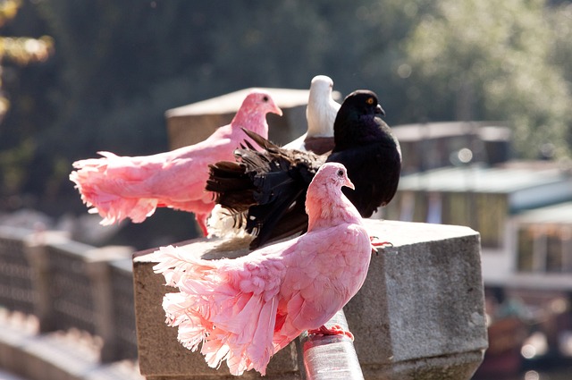 激情的防守 激情的防守